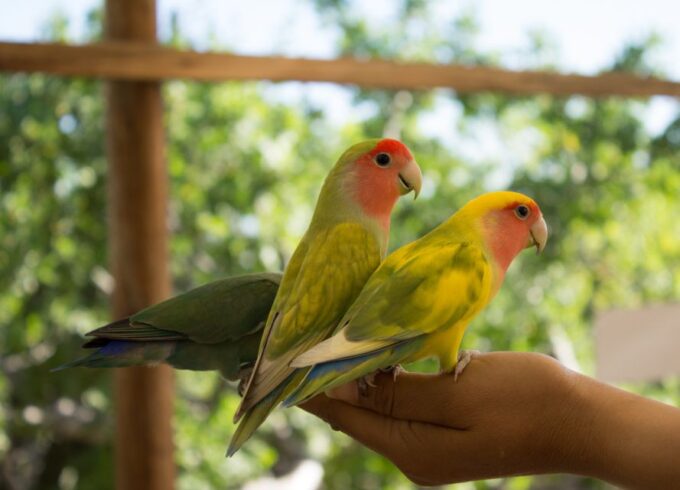 Los Cabos: Animal Sanctuary Tour - Customer Reviews