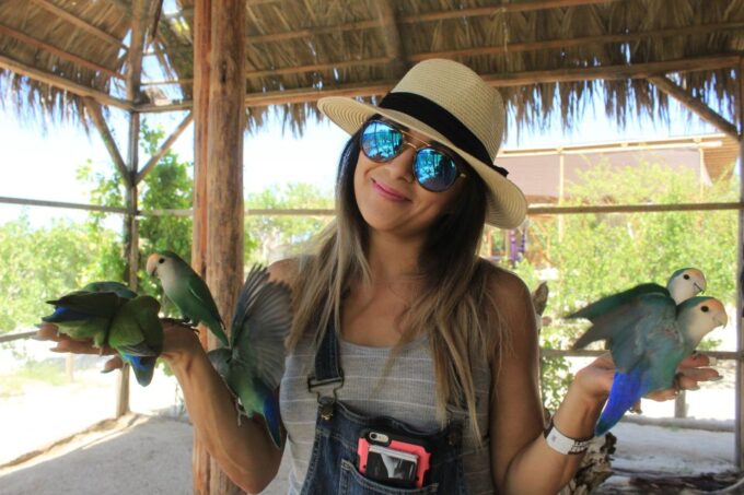 Los Cabos: Animal Sanctuary Tour - Frequently Asked Questions