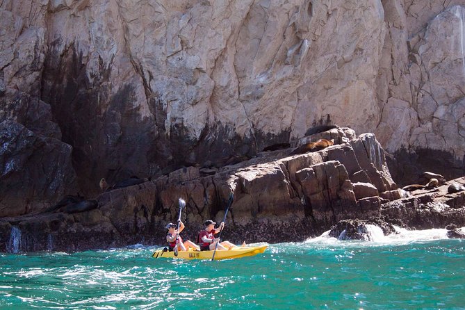 Los Cabos Arch and Playa Del Amor Tour by Glass Bottom Kayak - Snorkeling Near Pelican Rock