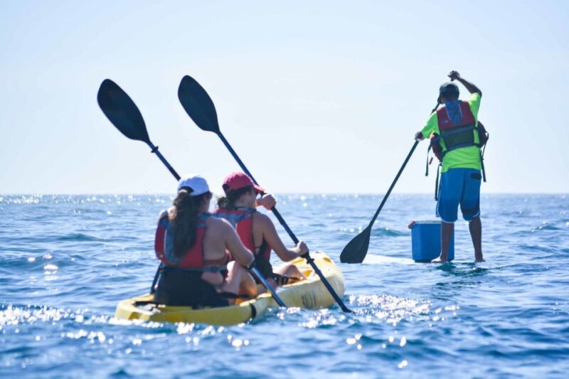 Los Cabos Arch & Lover's Beach Tour by Glass Bottom Kayak - Participant Requirements and Restrictions