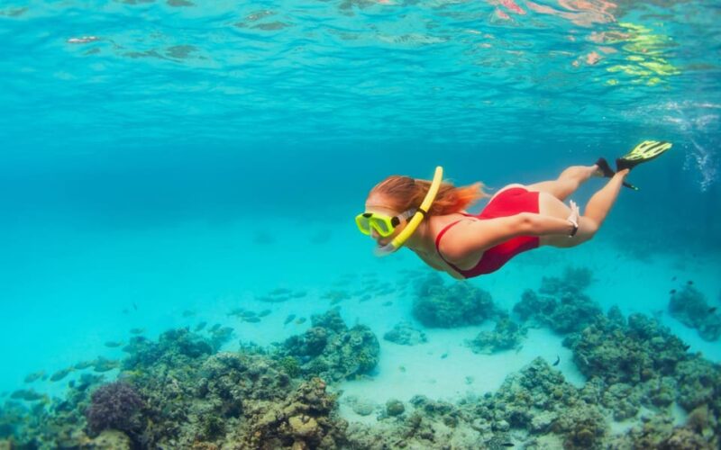LOS CABOS ARCH & LOVERS BEACH TOUR + SNORKELING TOUR - Inclusions