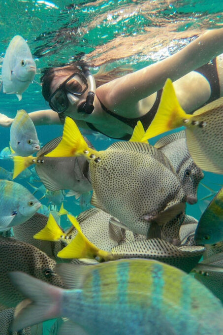 LOS CABOS ARCH & LOVERS BEACH TOUR + SNORKELING TOUR - Guided Snorkeling at Pelican Beach