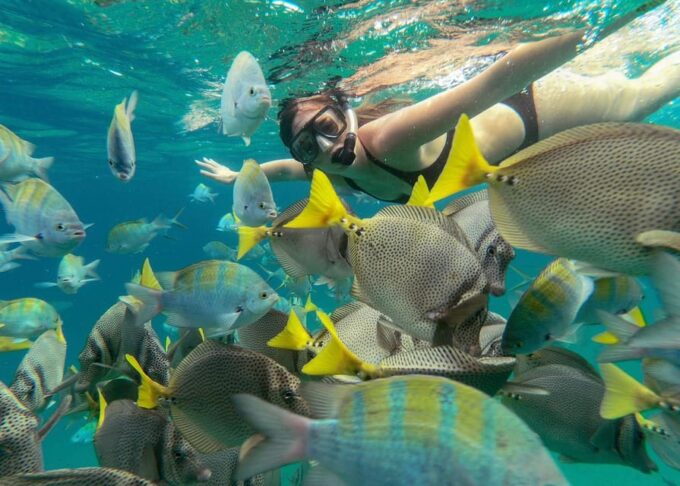LOS CABOS ARCH & LOVERS BEACH TOUR + SNORKELING TOUR - Frequently Asked Questions