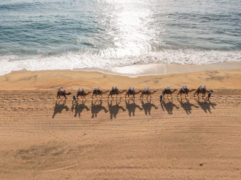 Los Cabos: Arch Tour by Speedboat and Camel Ride on Beach - Activities and Highlights