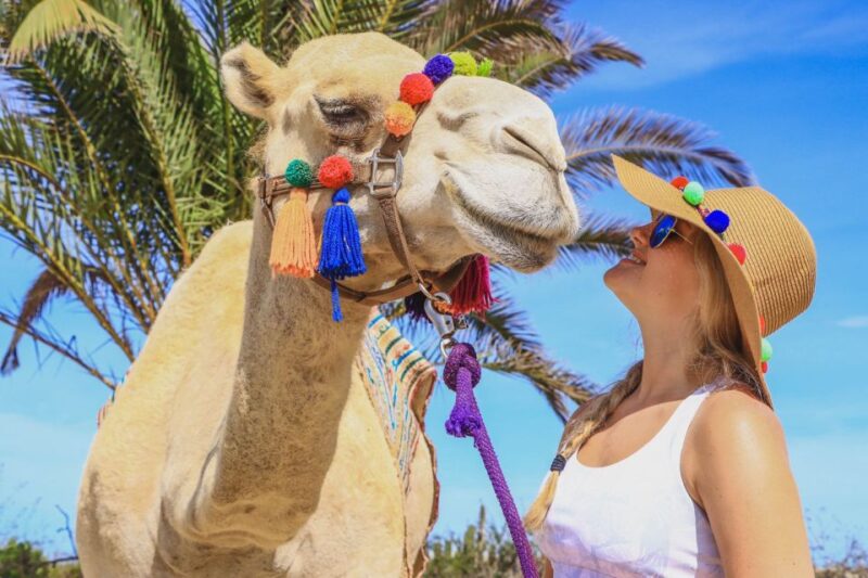 Los Cabos: Arch Tour by Speedboat and Camel Ride on Beach - Inclusions