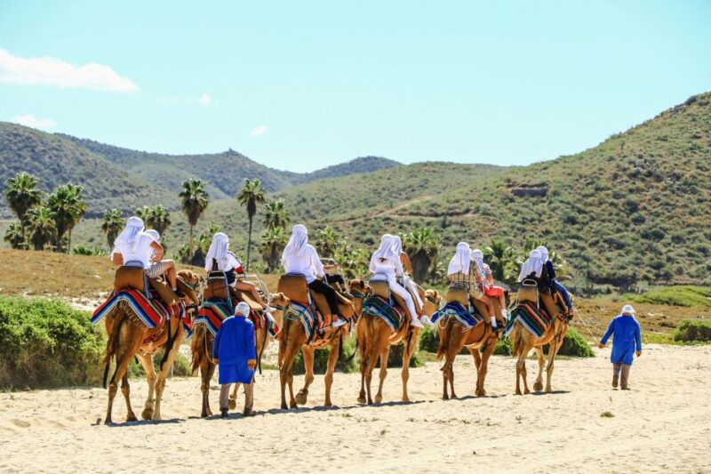 Los Cabos: Arch Tour by Speedboat and Camel Ride on Beach - Important Information