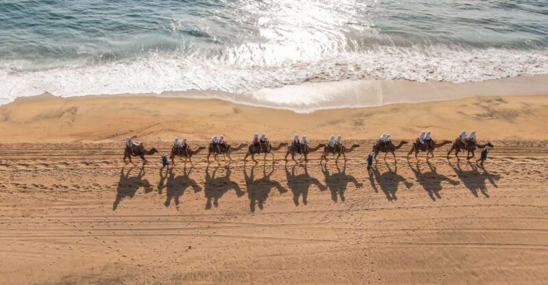 Los Cabos: Arch Tour by Speedboat and Camel Ride on Beach - Cancellation and Booking