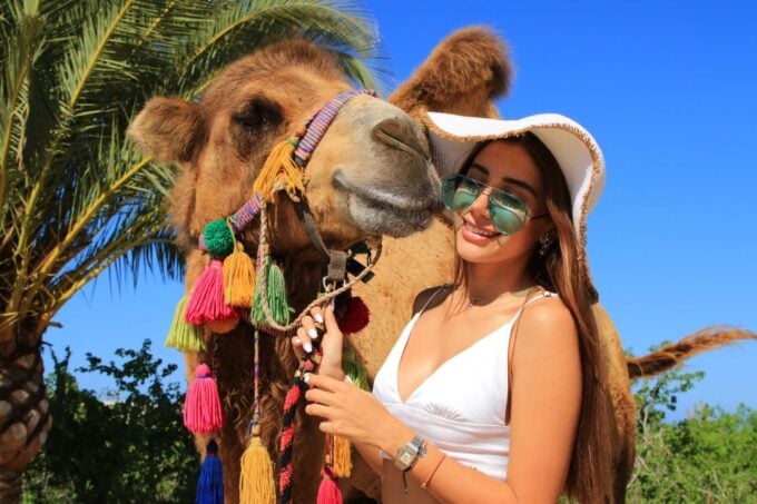 Los Cabos: Arch Tour by Speedboat and Camel Ride on Beach - Speedboat Ride to Lands End