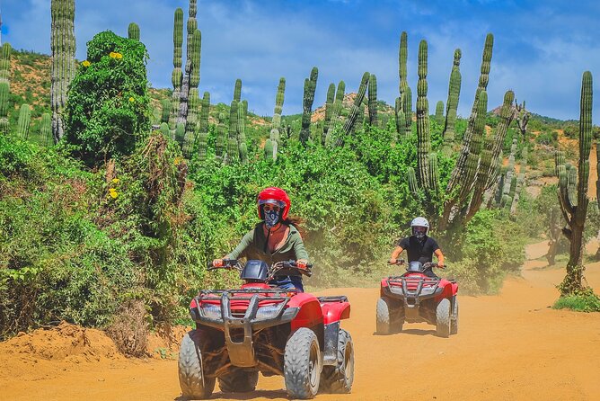 Los Cabos ATV Tour Single Rider - Customer Reviews and Feedback