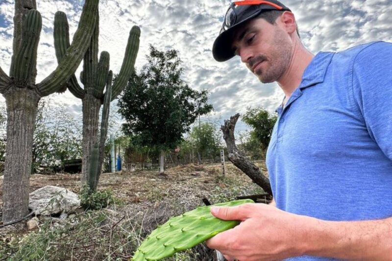 Los Cabos: Aztec Cactus Taco Farm to Table Cooking Class - Key Points
