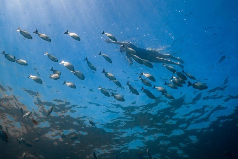 Los Cabos: Bay Kayaking and Snorkeling Private Tour - Itinerary and Experience