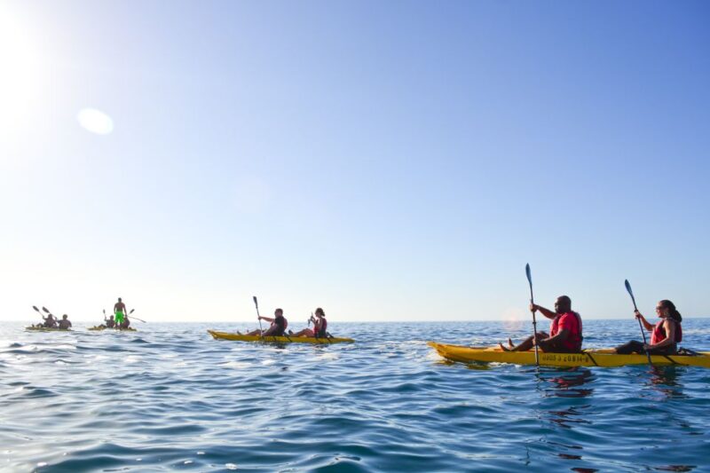 Los Cabos: Bay Kayaking and Snorkeling Private Tour - Activities and Inclusions