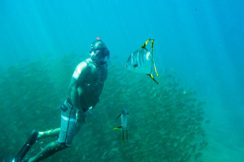 Los Cabos: Bay Kayaking and Snorkeling Private Tour - Safety and Recommendations