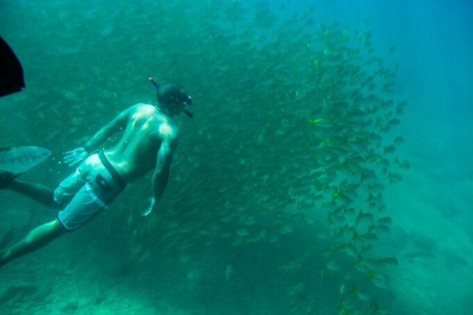 Los Cabos: Bay Kayaking and Snorkeling Private Tour - Booking and Cancellation