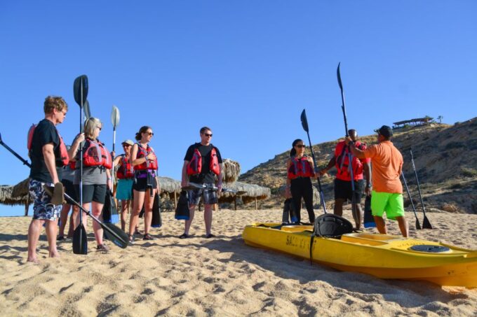 Los Cabos: Bay Kayaking and Snorkeling Private Tour - Tour Highlights and Reviews