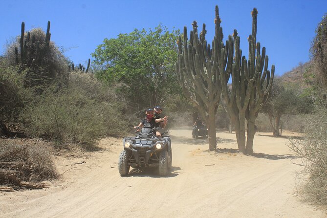 Los Cabos Beach & Desert Tour in Automatic Atv + Tequila Tasting - Suitability and Requirements