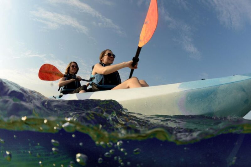 Los Cabos: Beach Pass at Wild Bay - Food and Amenities
