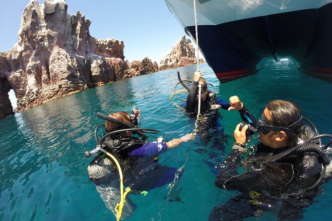 Los Cabos Beginner Scuba Dive Experience - Customer Feedback