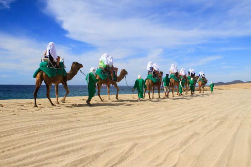 Los Cabos: Camel Ride Safari With Lunch and Tequila Tasting - Camel Ride and Desert Exploration