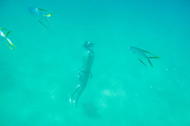 Los Cabos: Chilena & Santa María Bay Private Snorkeling Tour - Experience Details