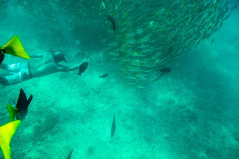 Los Cabos: Chilena & Santa María Bay Private Snorkeling Tour - Inclusion and Recommendations