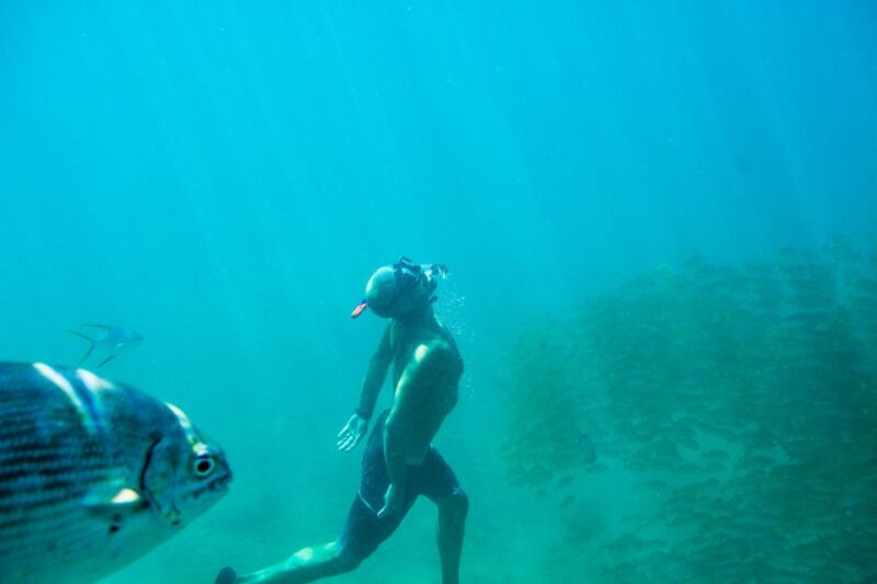 Los Cabos: Chilena & Santa María Bay Private Snorkeling Tour - Pricing and Cancellation