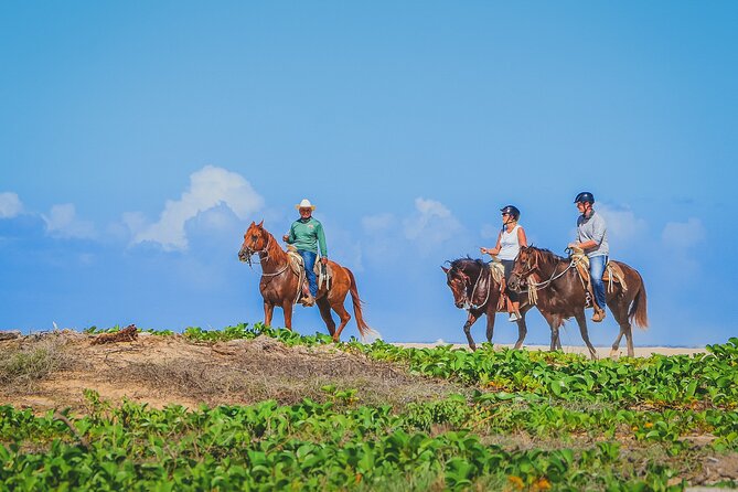Los Cabos Combo: ATV + Horseback Riding - Tequila Tasting Experience