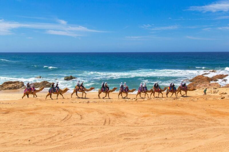 Los Cabos: Desert Camel and ATV Ride With Tequila Tasting - Eco-Friendly Environment