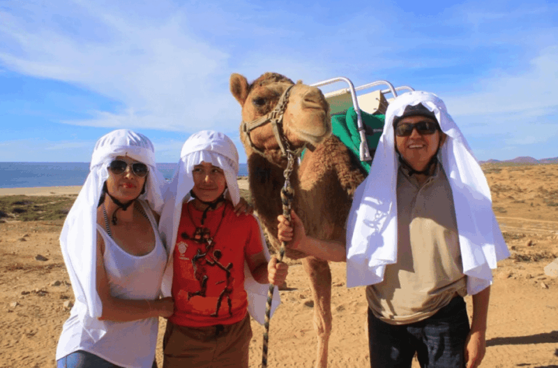 Los Cabos: Desert Camel Riding Experience - Key Points