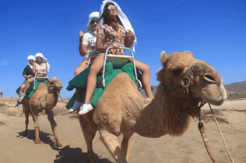 Los Cabos: Desert Camel Riding Experience - Transportation and Tour Duration