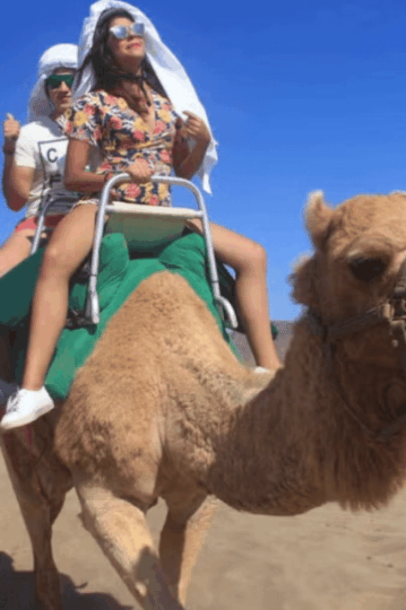 Los Cabos: Desert Camel Riding Experience - Cancellation Policy