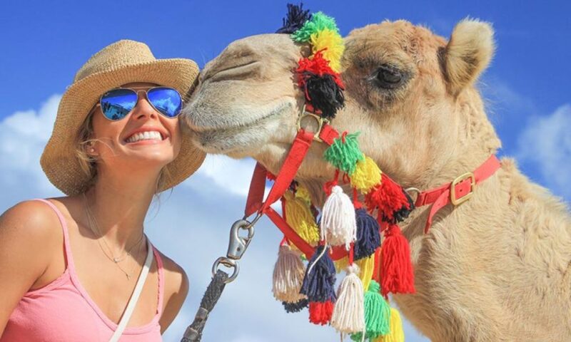 Los Cabos: Desert & Sea Camel Safari Tour With Lunch - Included in the Tour