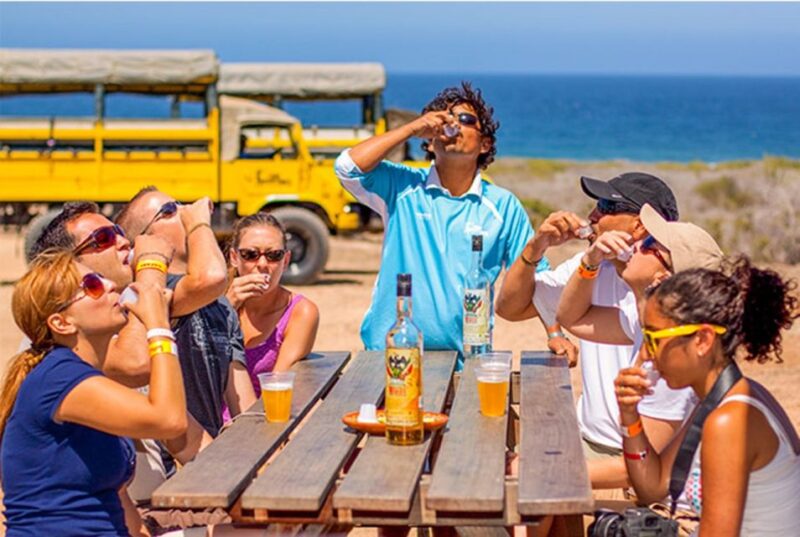 Los Cabos: Desert & Sea Camel Safari Tour With Lunch - Preparation and Recommendations