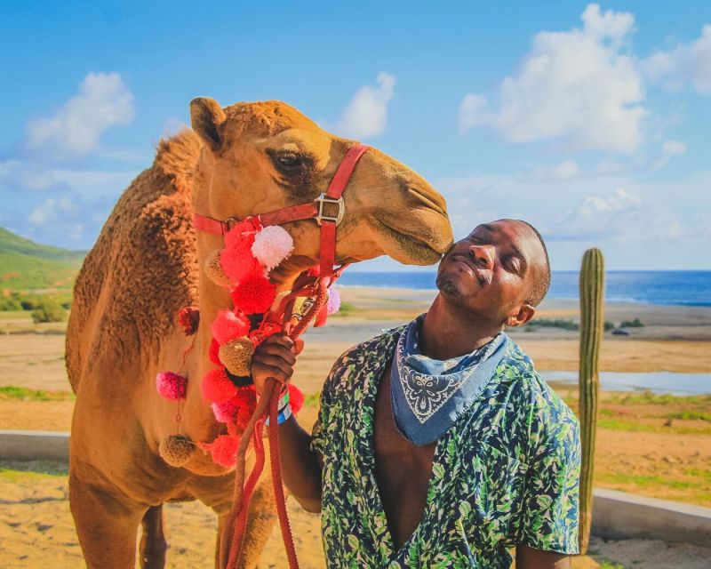 Los Cabos: Desert & Sea Camel Safari Tour With Lunch - Tour Schedules