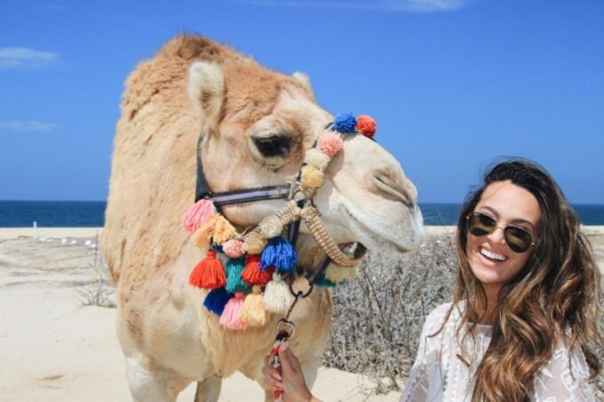 Los Cabos: Desert & Sea Camel Safari Tour With Lunch - Frequently Asked Questions