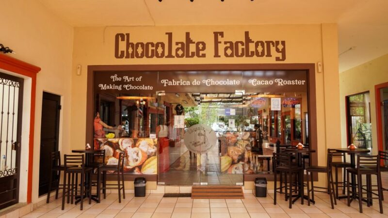 Los Cabos Famous Arch Cruise, City Tour and Lunch - Customer Reviews