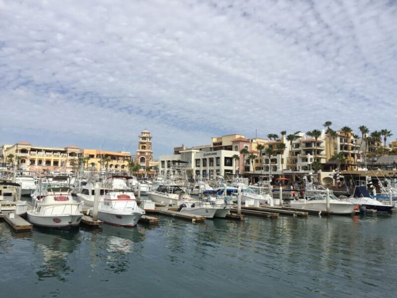 Los Cabos: Half-Day San Lucas and San Jose Tour - Cancellation and Refund Policy
