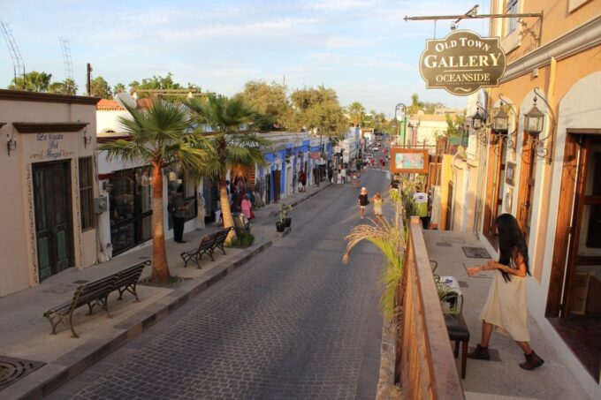 Los Cabos: Half-Day San Lucas and San Jose Tour - What to Bring