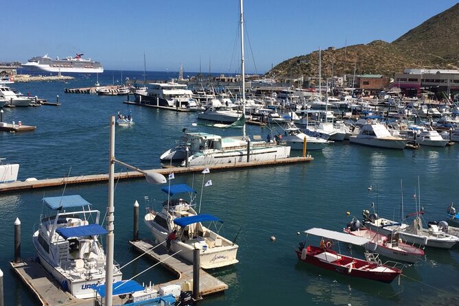 Los Cabos Half-Day Tour Discovering San Jose and San Lucas - Pickup and Transportation