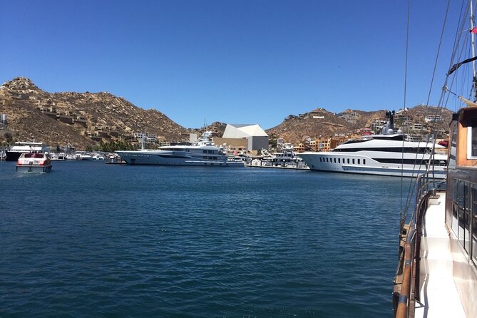 Los Cabos Half-Day Tour Discovering San Jose and San Lucas - Tequila Tasting Experience