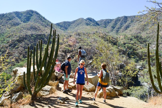Los Cabos: Hiking at the Fox Canyon - Group Size and Capacity