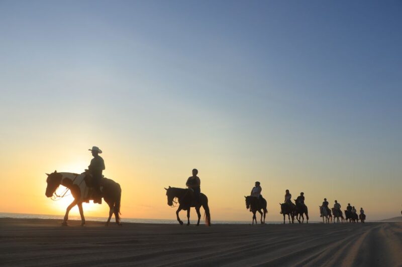 Los Cabos: Horseback Ride on Pacific Beach and Desert - Transportation and Pickup Information