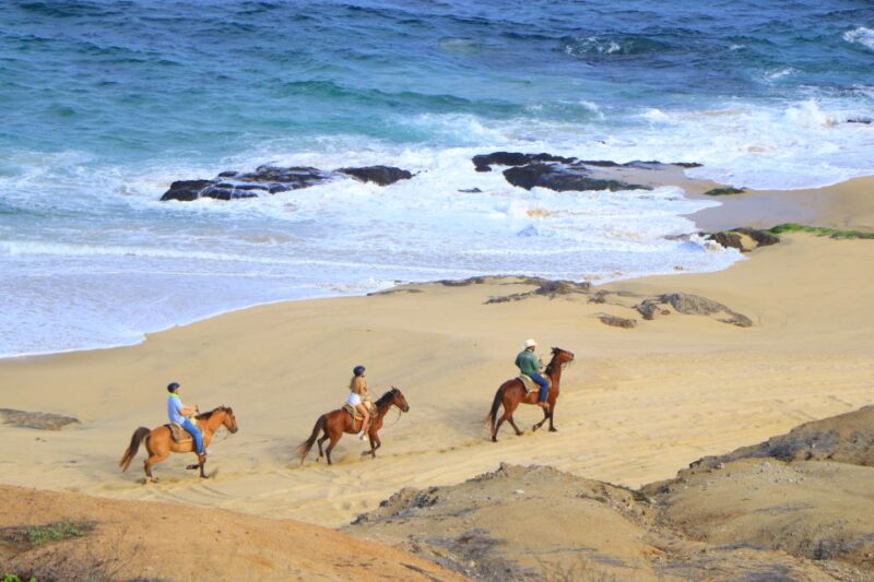 Los Cabos: Horseback Ride on Pacific Beach and Desert - Preparation and Dress Code