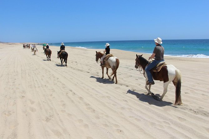 Los Cabos Horseback Riding - Guided Tour Details