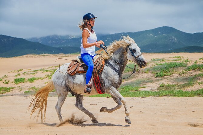 Los Cabos Horseback Riding - Transportation and Pickup