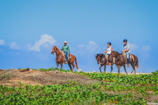 Los Cabos Horseback Riding - Participant Requirements