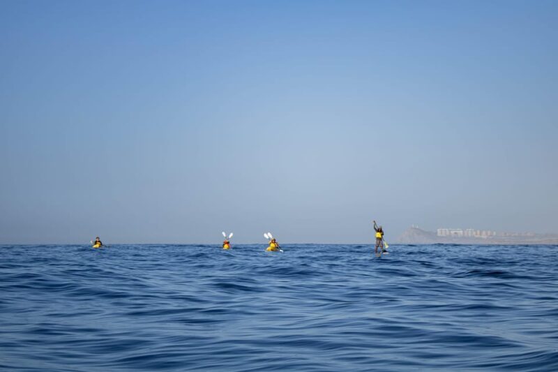 Los Cabos: Kayak & Snorkel to Chileno Bay + Transport - Pickup Locations and Transportation