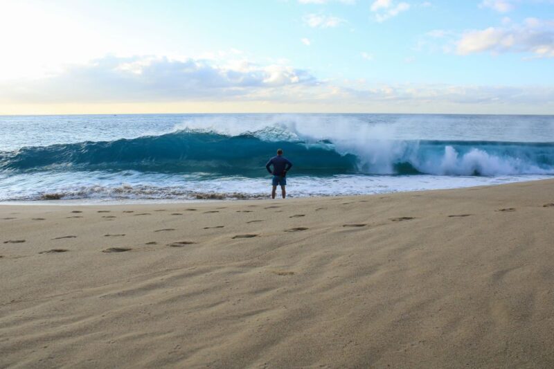 Los Cabos: Kayak to The Arch & Snorkel + Transport & Photos - Key Points