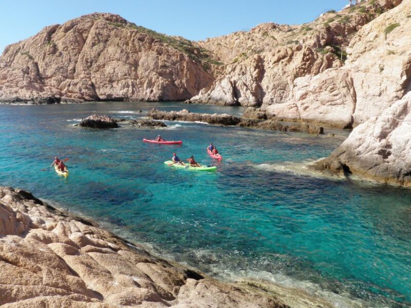 Los Cabos: Kayaking and Snorkeling in Two Pristine Bays - Customer Reviews