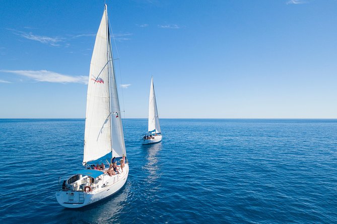 Los Cabos Luxury Sailing, Snorkel and Lunch Cruise - Gourmet Lunch Specialties